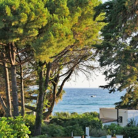 Les Moulins De Paillas La Croix-Valmer Bagian luar foto