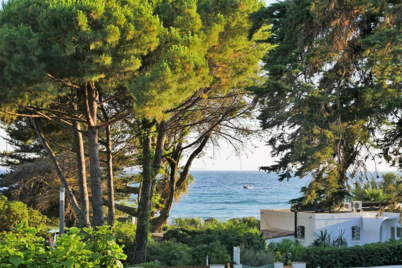 Les Moulins De Paillas La Croix-Valmer Bagian luar foto